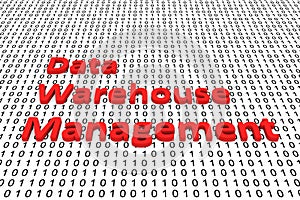 Data warehouse management