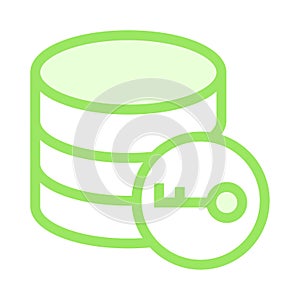 Database key color line icon