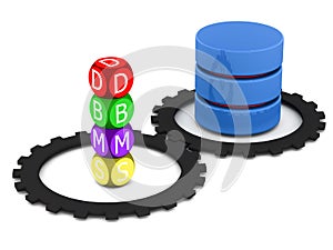 Database management system