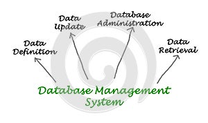 Database Management System