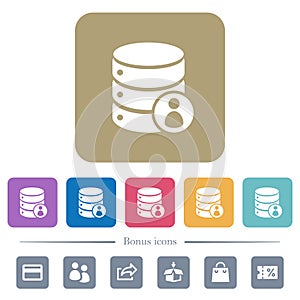 Database privileges flat icons on color rounded square backgrounds