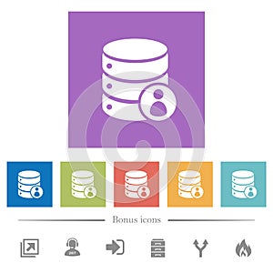 Database privileges flat white icons in square backgrounds