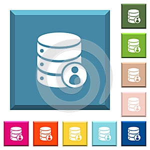 Database privileges white icons on edged square buttons