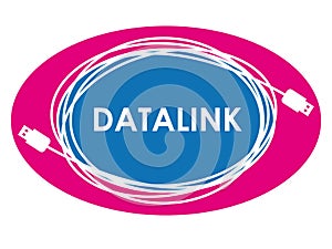 Datalink logo