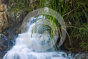 Datanla waterfall, Vietnam