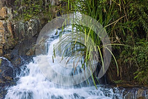 Datanla waterfall, Vietnam