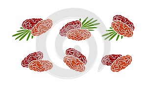 Date fruit logo. Isolated date fruit on white background