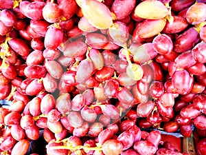 Date fruit - A testy and healthy food