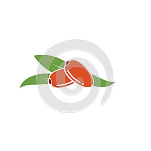 date fruit vector illustration design