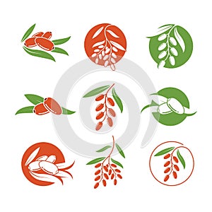 date fruit vector illustration design