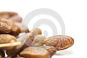 Date Palm