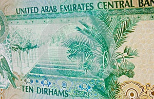 Date Palm banknote United Arab Emirates