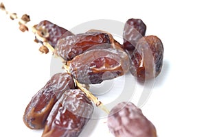 Date Palm, Dates or Phoenix dactylifera And white background.