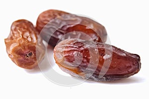 Date Palm, Dates or Phoenix dactylifera And white background.