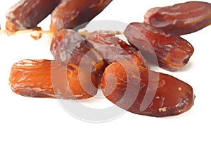 Date Palm, Dates or Phoenix dactylifera And white background.