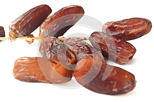 Date Palm, Dates or Phoenix dactylifera And white background.