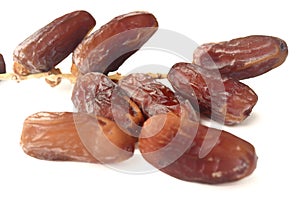 Date Palm, Dates or Phoenix dactylifera And white background.