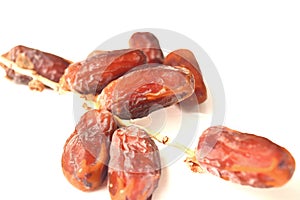 Date Palm, Dates or Phoenix dactylifera And white background.