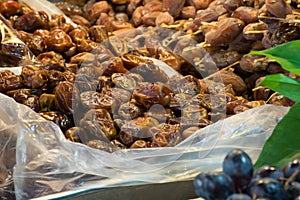 Date Palm fruit is in a foam box.