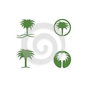 Date palm logo