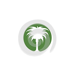 Date palm logo