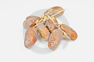 Date palm