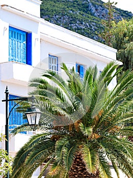 A date palm tree grows near a street lamp against the background of a traditional white Greek house with blue wooden windows and