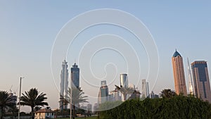 Date palms and High Rise Tower Buildings, Sheikh Zayed road in Dubai