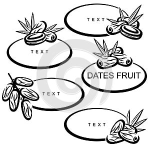 Dates fruit set. Collection icon dates fruit. Vector