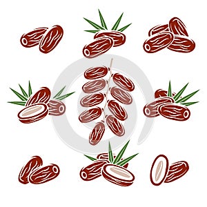 Dates fruit set. Vector