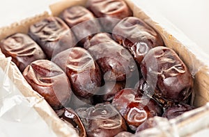 dates, phoenix dactylifera in packing container