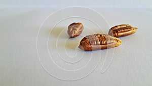 Dates seeds on a white surface