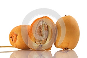 Dates on white Background