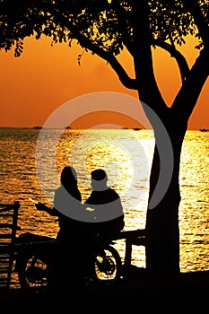 Dating under the beach tree