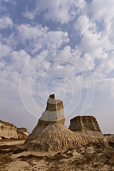 Datong Earth Forest