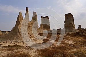 Datong Earth Forest