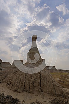 Datong Earth Forest