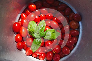 Datterini cherry tomatoes and fresh basil leaves