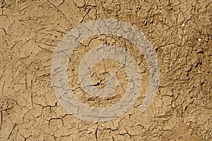 Daub made of mud and cow dung