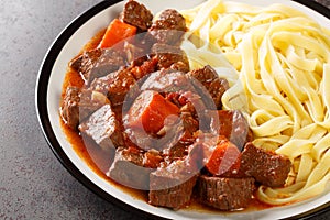 Daube de Boeuf Provencale slow cooked Rich Beef Stew with noodles closeup in the plate. Horizontal