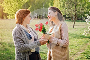 Daughter gives her mother tulips. Mother`s day present