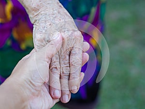 Daughter holding mother`s hand while standing in a garden. Close-up photo. Space for text. Concept of aged people and healthcare