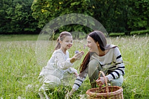 Daughter picking flowers, giving them to mother. Concept of family ecological hobby in nature. Mother& x27;s Day.