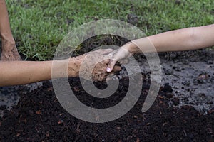 Daughter shake hands with father dirty from the soil to join hands in planting trees in the garden.