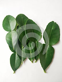 Daun jeruk purut or Kaffir lime leaves