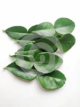 Daun jeruk purut or Kaffir lime leaves