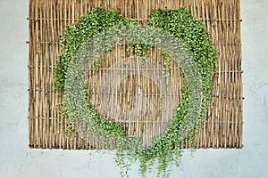 Dave Plant In Heart Shape Hang On Bamboo Board photo