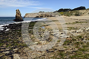 Davenport Beach, Davenport CA