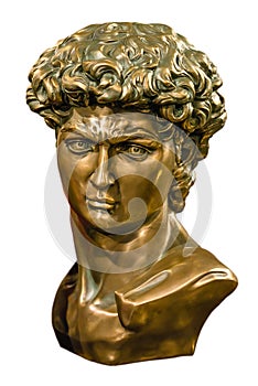 David bronze bust isolated