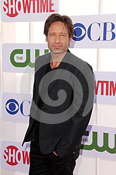 David Duchovny
